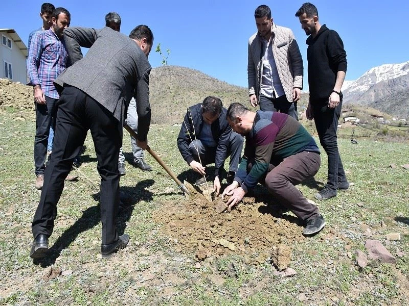 Sason’da ipek böcekçiliği geliştirme projesi dahilinde dut fidanı dikildi
