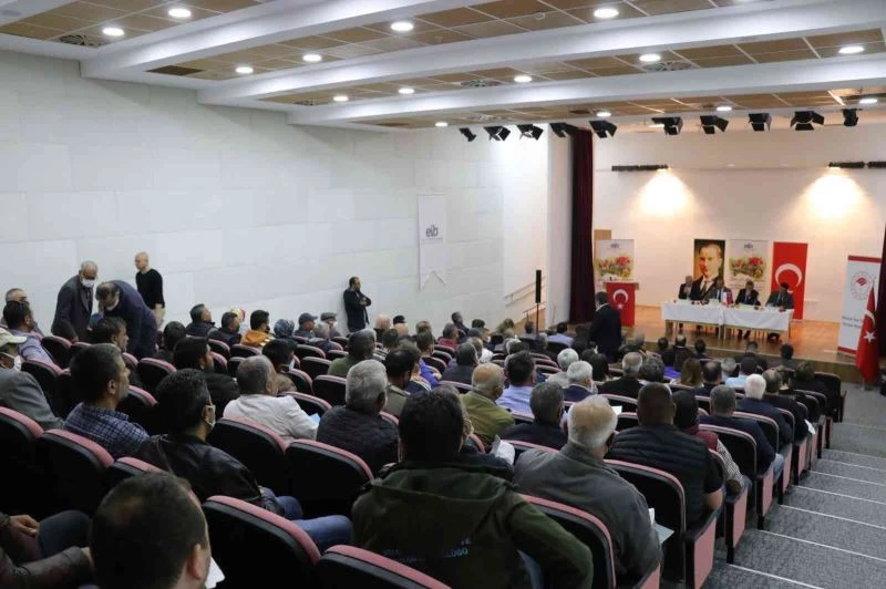 Türkiye şeftali ve nektarin ihracatında dünya liderliğini hedefliyor
