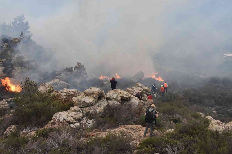 Bodrum’daki orman yangını 6 saat sonunda kontrol altına alındı
