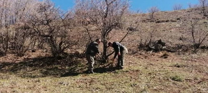 Elazığ’da yaban hayatı ve kaçak avcılar, fotokapanlarla tespit ediliyor

