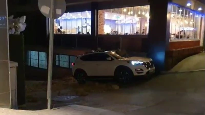 Bursa’da lodosun etkisiyle ağaçlar araçların üzerine devrildi
