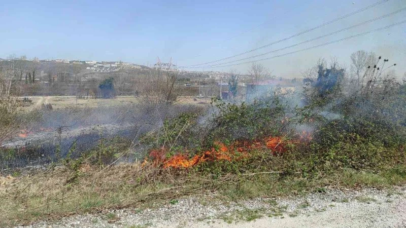 Otluk alan yangını rüzgar sebebiyle hızlı büyüdü

