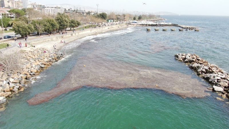 Caddebostan sahilinde deniz çekildi, yer yer kirlilik oluştu
