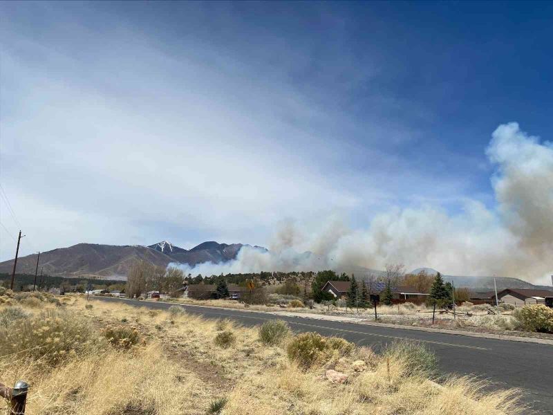Arizona’da orman yangını şiddetli rüzgarın etkisiyle giderek yayılıyor
