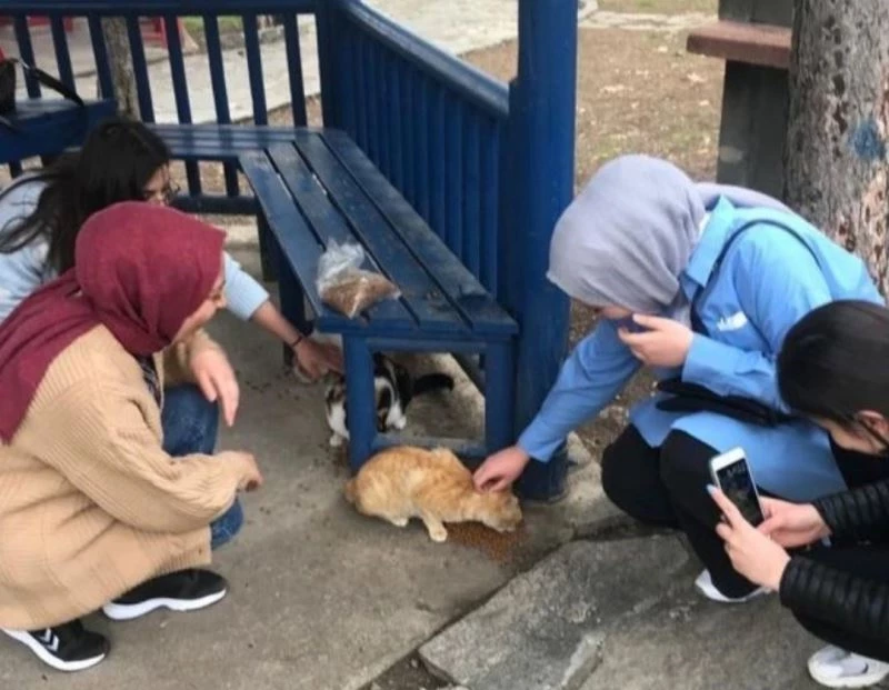 Gediz Sağlık Hizmetleri MYO’da 