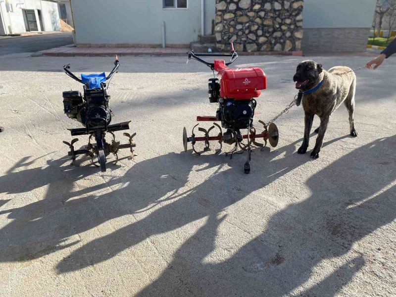 Elazığ’da çapa motoru ve kangal köpeği çalan şüpheliler yakalandı
