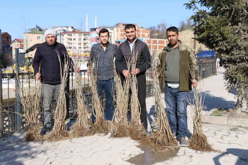 Ordu’da ipek böcekçiliği yaygınlaşıyor
