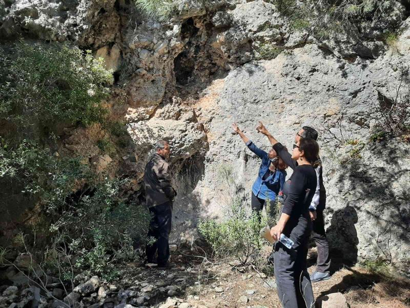 Tüylü çan çiçeğinin korunması için çalışmalar sürüyor
