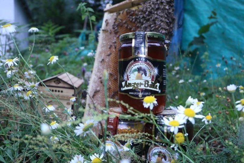 Anzer Balı’na yurt dışından talep olsa da öncelik yerli ve hastaların
