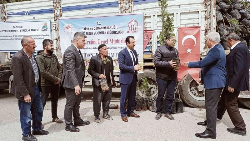 Siirt’te bin 700 dekar üzerine ’Siirt fıstığı’ ve ’Trabzon hurması’ dikimi yapılacak

