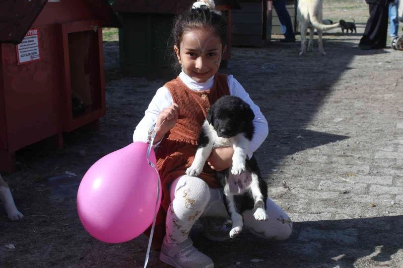 23 Nisan etkinlikleri çerçevesinde Anaokulu öğrencileri hayvan barınağını ziyaret etti
