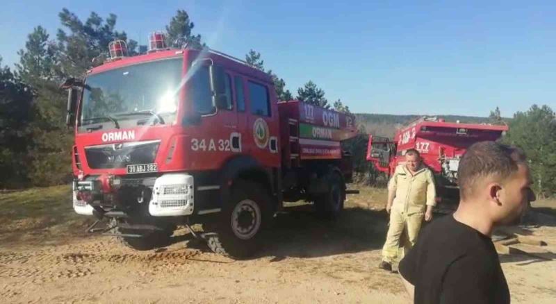Kırklareli’nde orman yangını: 12 dekar alan zarar gördü
