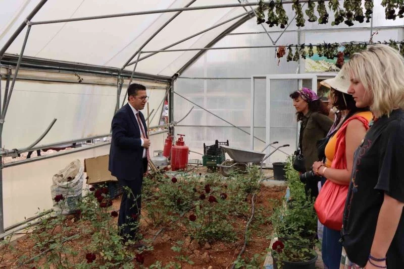 Halfeti’nin simgesi karagül çiçek açtı
