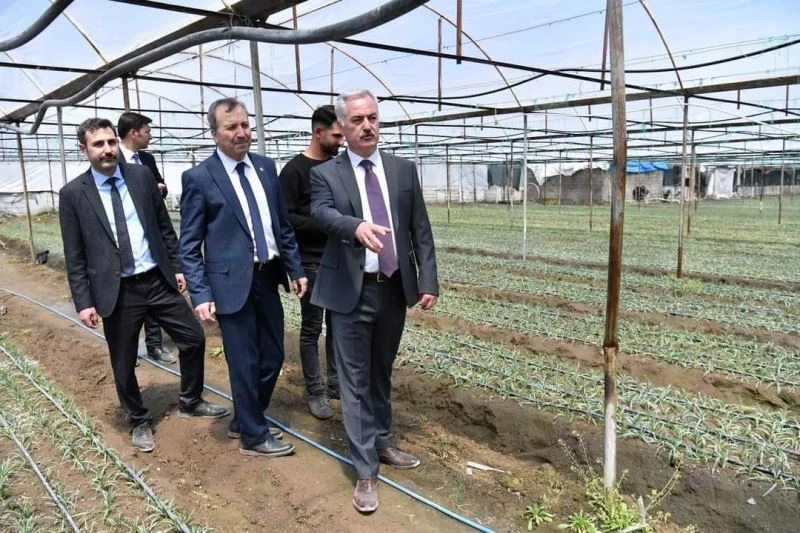 Isparta’nın yaş sebze merkezi Deregümü’nde sezon açıldı
