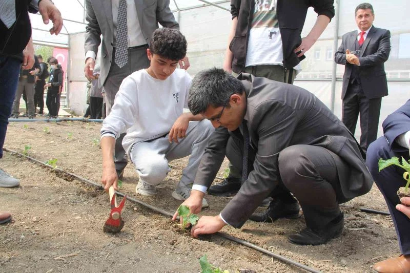Hükümlüler sebze üretimi yaparak meslek edinecek
