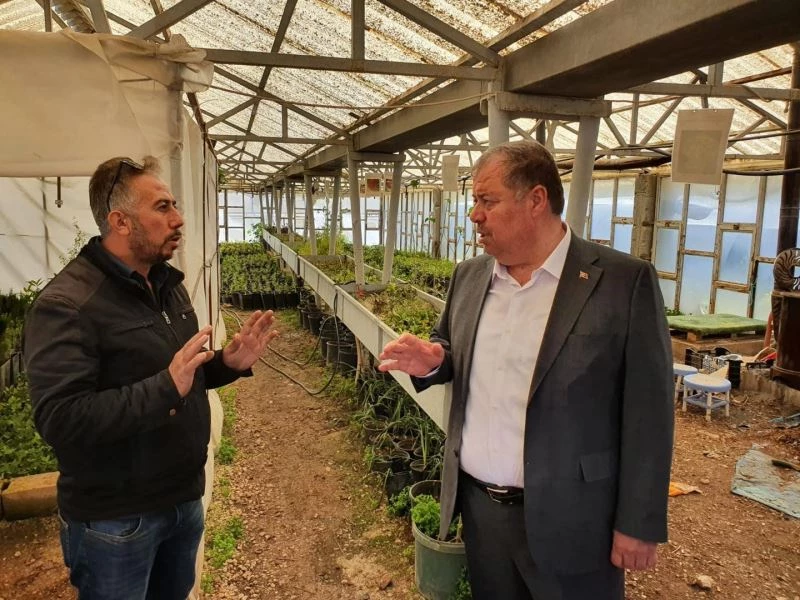 Kilis’i süsleyen çiçekler belediye serasında yetişiyor

