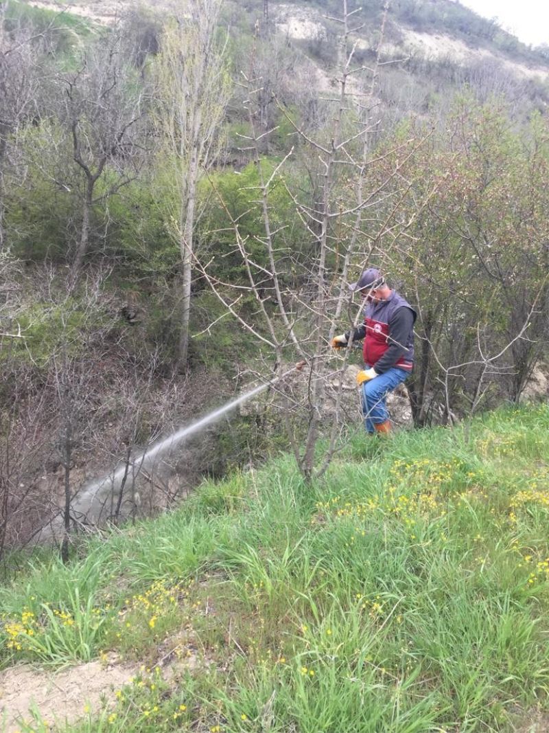 Elazığ’da larva ile mücadele çalışması
