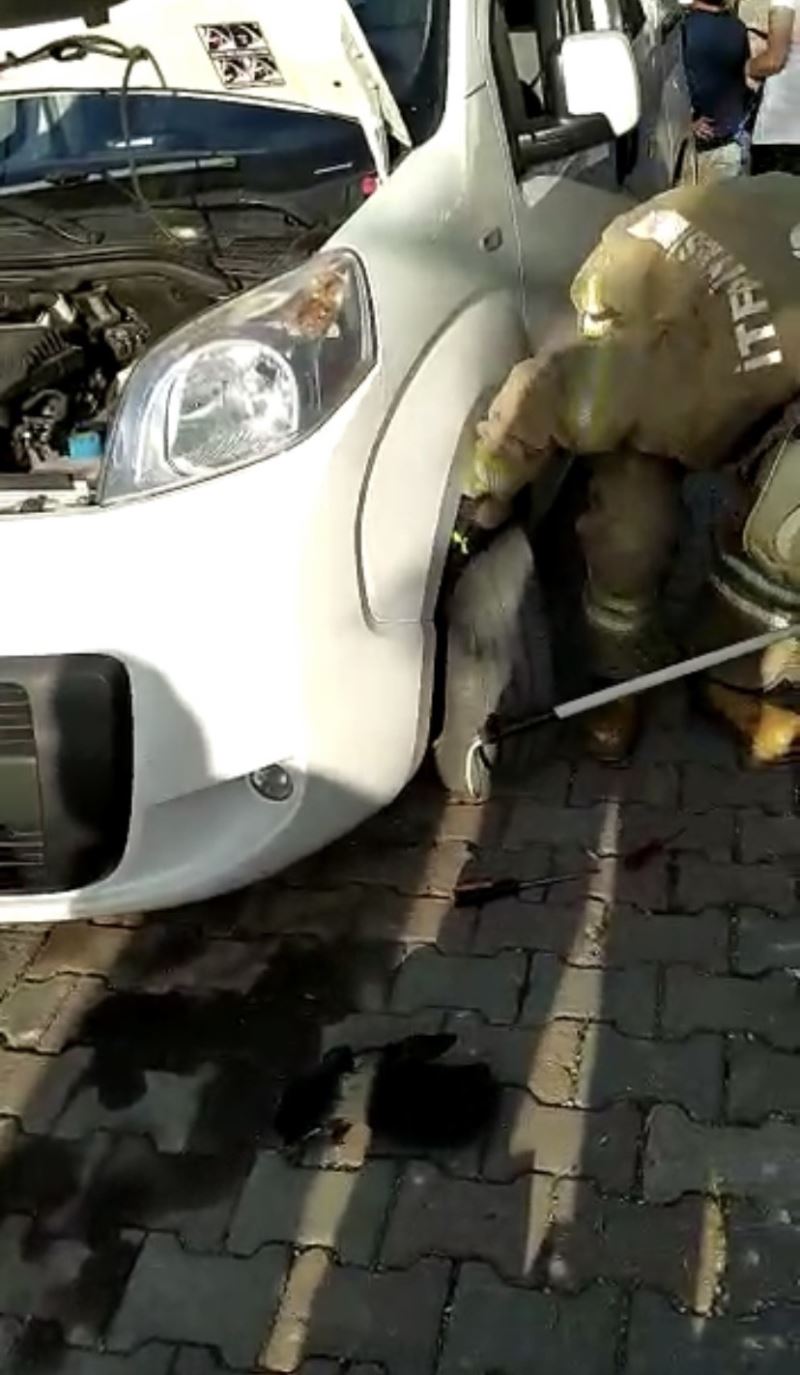 Kartal’da araç motoruna sıkışan kediyi kurtarma operasyonu kamerada
