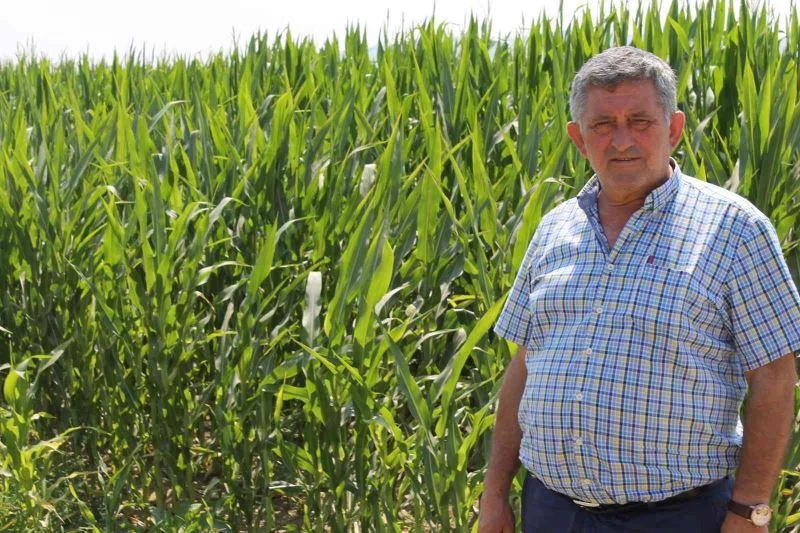 Dünyanın mısırı Yenişehir’de üretiliyor
