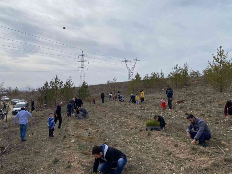 Türkeş’in vefatının yıldönümünde fidan dikimi gerçekleştirildi
