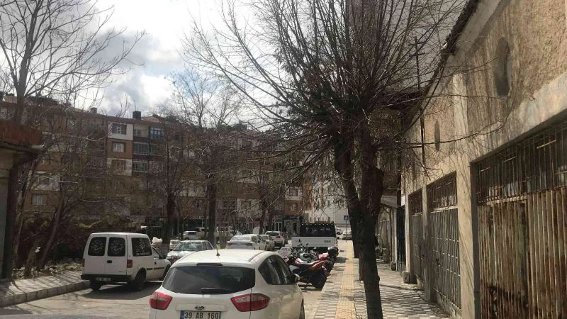 Kırklareli’nde budanmayan ağaçlar esnaf ve vatandaşları üzüyor
