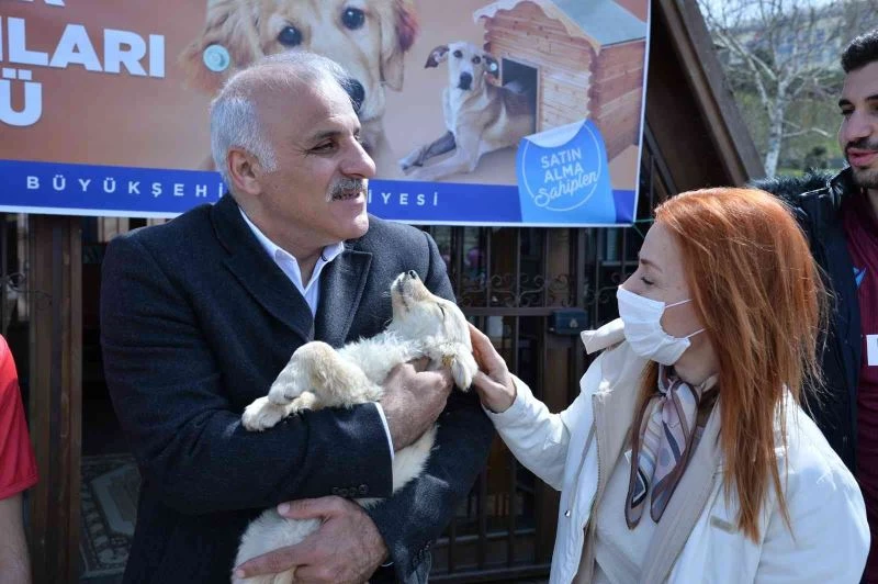 Büyükşehirden sahipsiz canlara özel etkinlik
