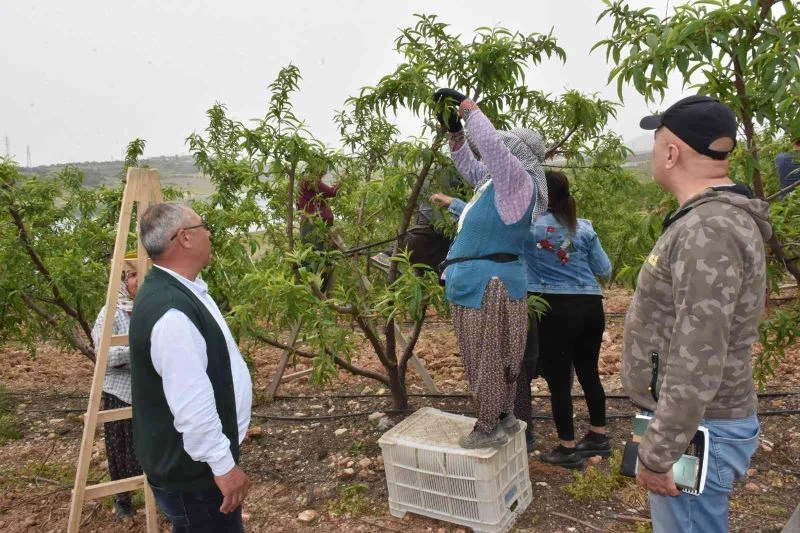 Tarsuslu çiftçiler, doğru ve sürdürülebilir tarım için bilgilendirildi
