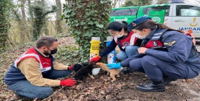 Jandarma sessiz dostları unutmadı
