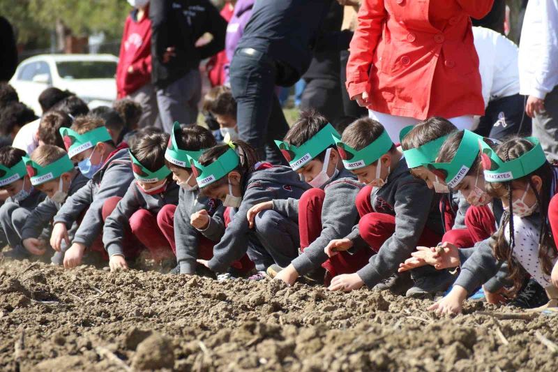 Çocuklar mor patates tohumlarını toprakla buluşturdu
