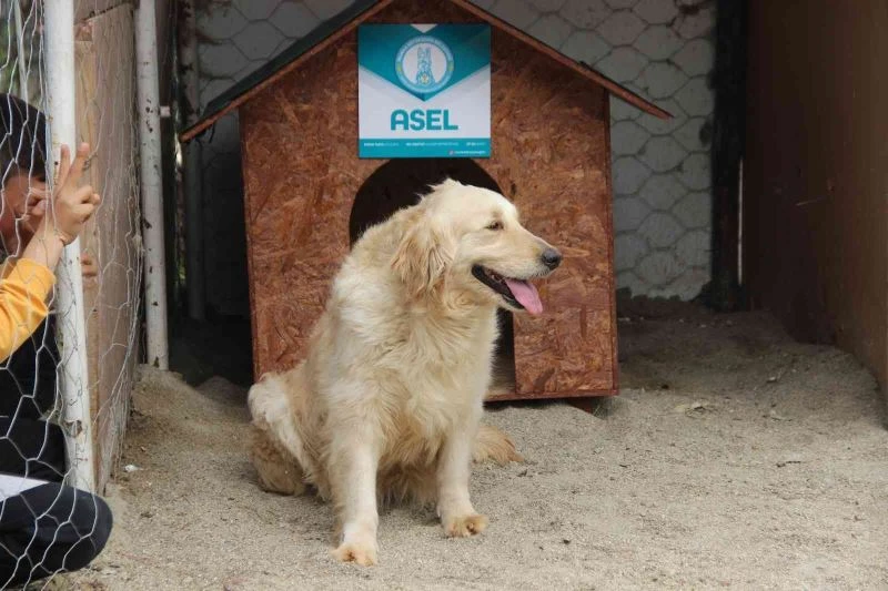 Yıllarca TSK’da vatan için çalıştı emeklilik keyfini çocuklarla yaşayacak
