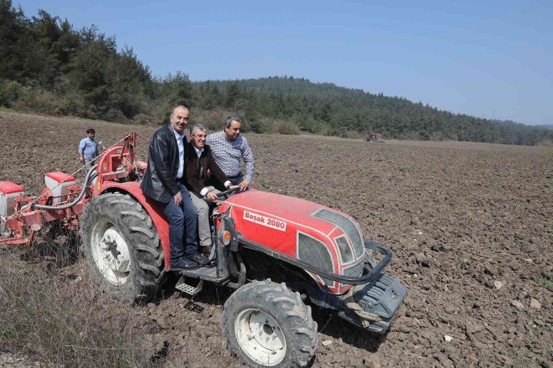 Mudanya Belediyesi ayçiçek tohumlarını toprakla buluşturdu
