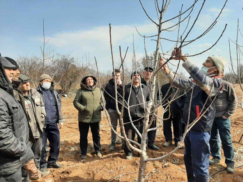 Mihalıççık’ta üreticilere budama eğitimi
