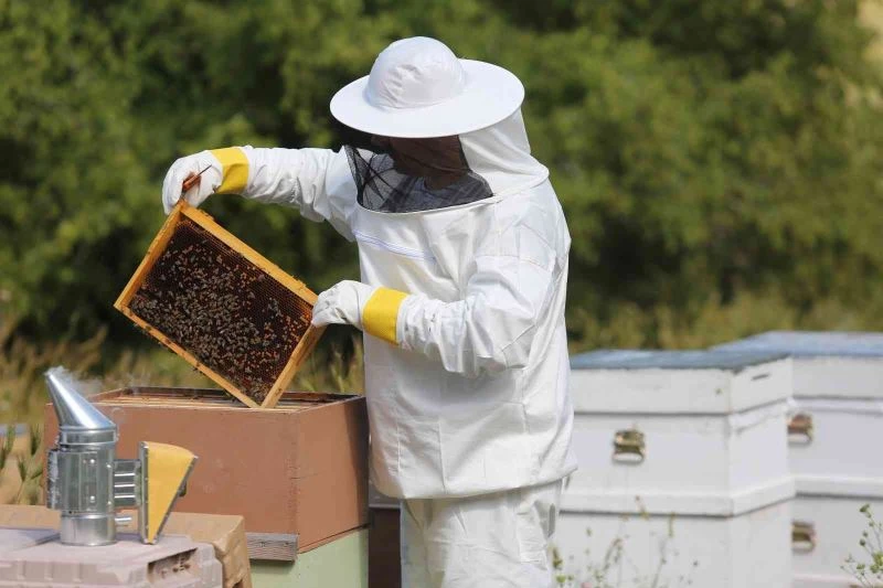 Arıcılık sektörü, sorunlarına çözüm bulmak için panelde buluştu
