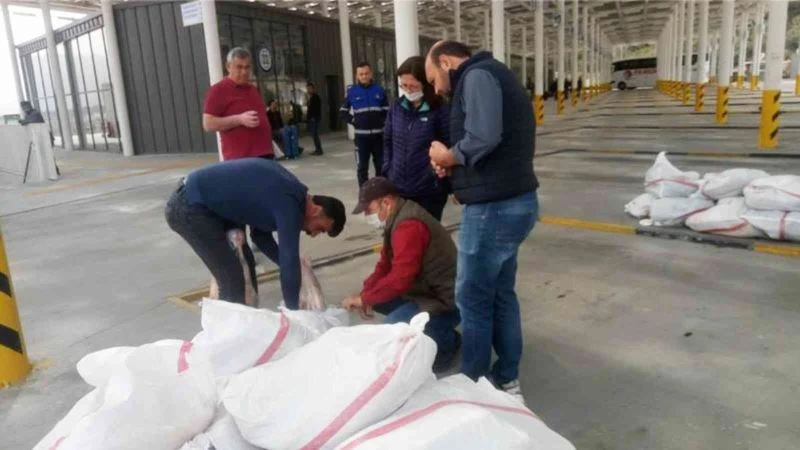 Kaçak etlerin sahibine ve otobüse ceza
