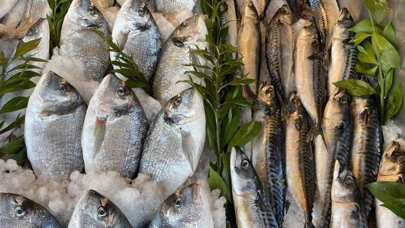 Karadeniz’deki serseri mayınlar tezgaha da yansıdı
