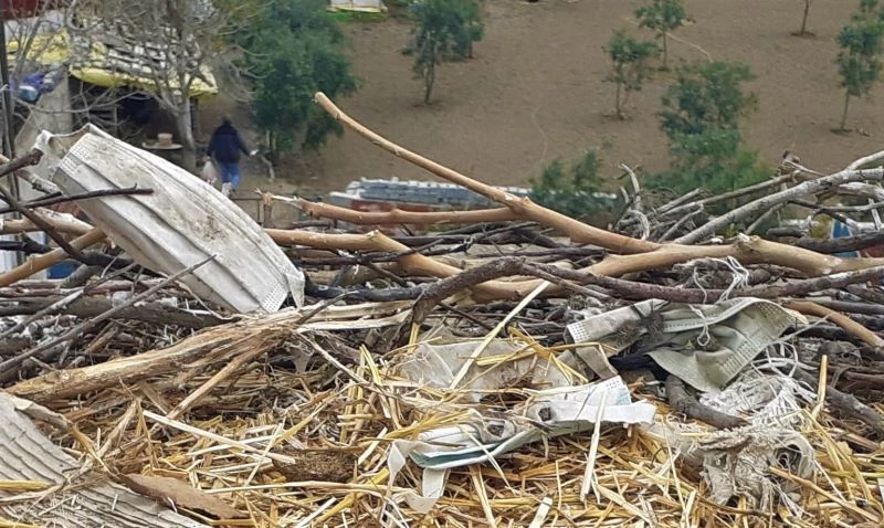 Maske atıkları, leylekleri tehdit ediyor
