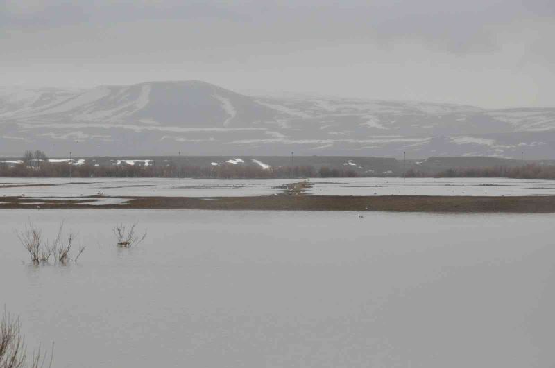 Meteorolojinden Kars için ‘sarı’ uyarı
