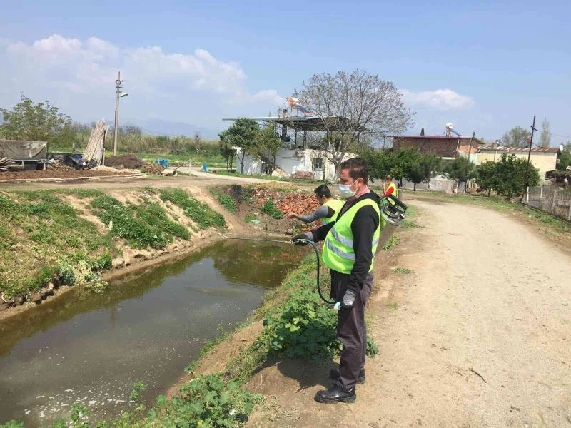 Nazilli’de vektörle mücadele çalışmaları devam ediyor
