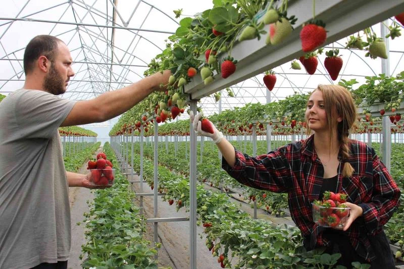Hem hayatlarını hem de işlerini birleştirdiler

