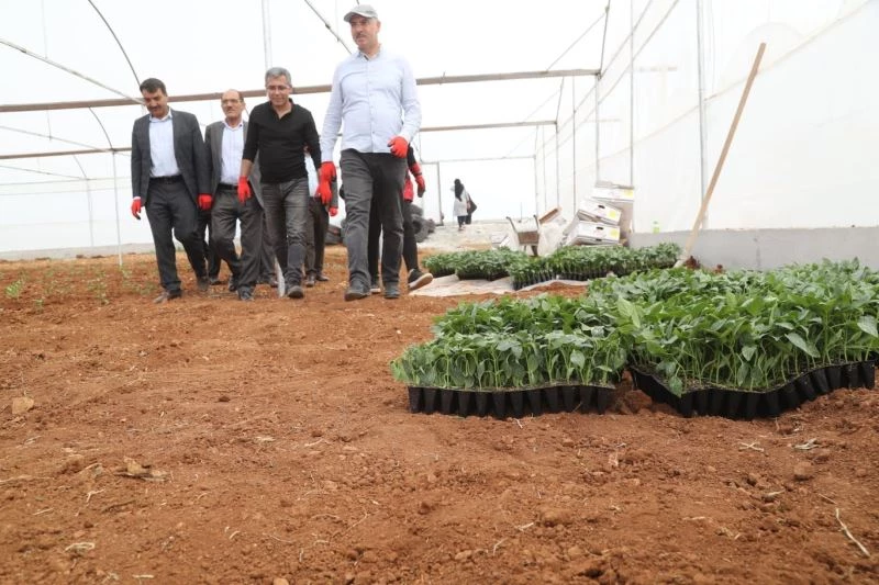 Sera kentte fideler toprakla buluştu
