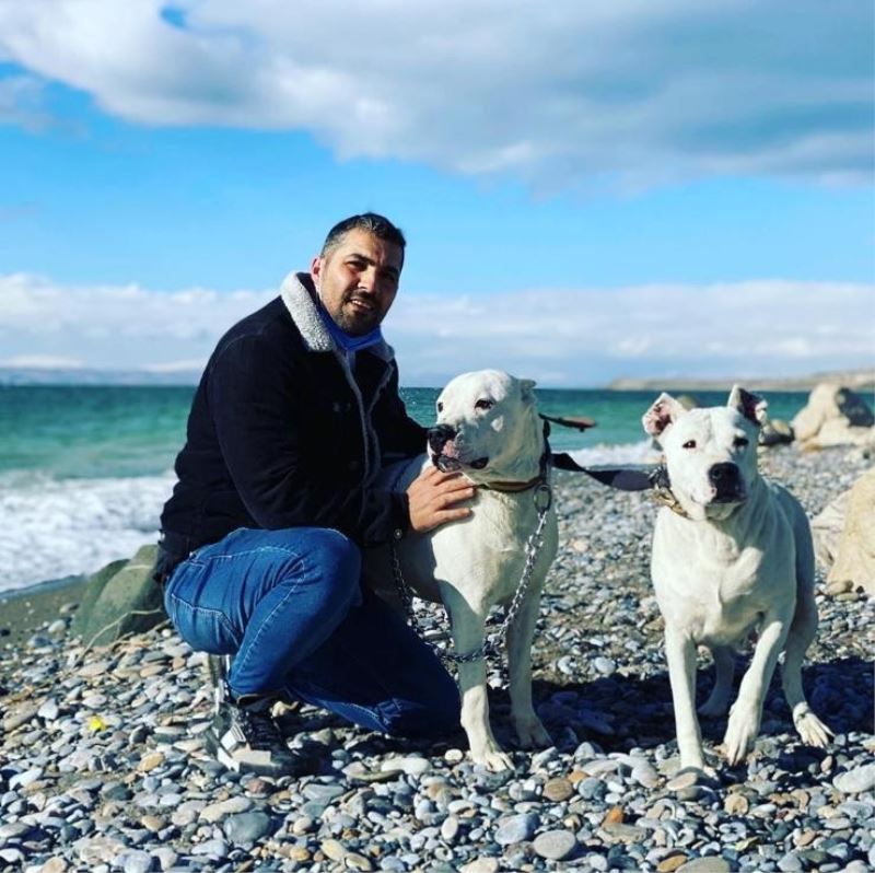 Van’da spor salonu bahçesinden çalınan Dogo Argentino ırkı iki köpek saatler sonra ölü bulundu

