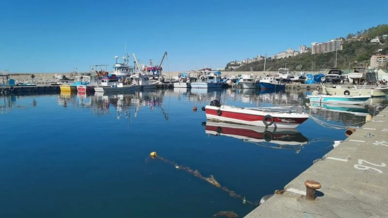 Kozlu Su Ürünleri Kooperatifi Başkanı Kayhan: “Mayın yüzünden geceleri avlanmayı kendi aramızda yasakladık”
