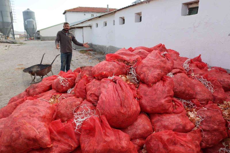 Üreticilerin elinde kalan soğanlar depolarda çürüyor
