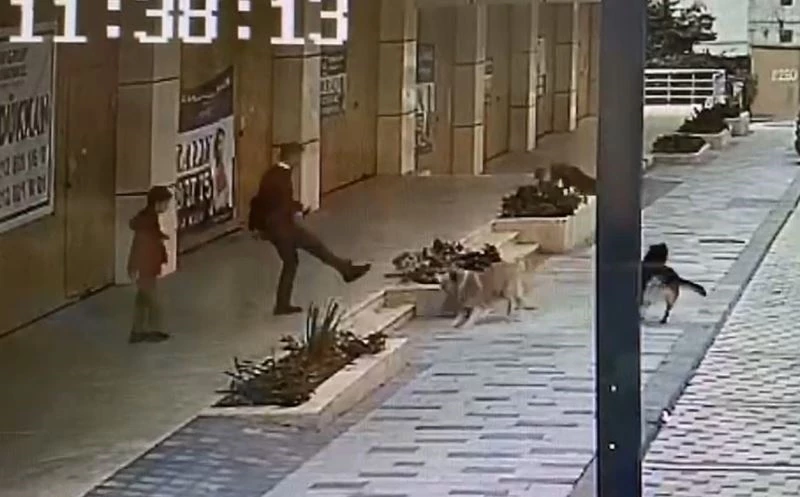 Avcılar’da köpek saldırısını yaşayan çocuk dehşet anlarını anlattı
