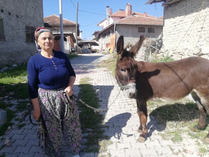 15 yılldır gözü gibi baktığı eşeğine aylar sonra kavuştu
