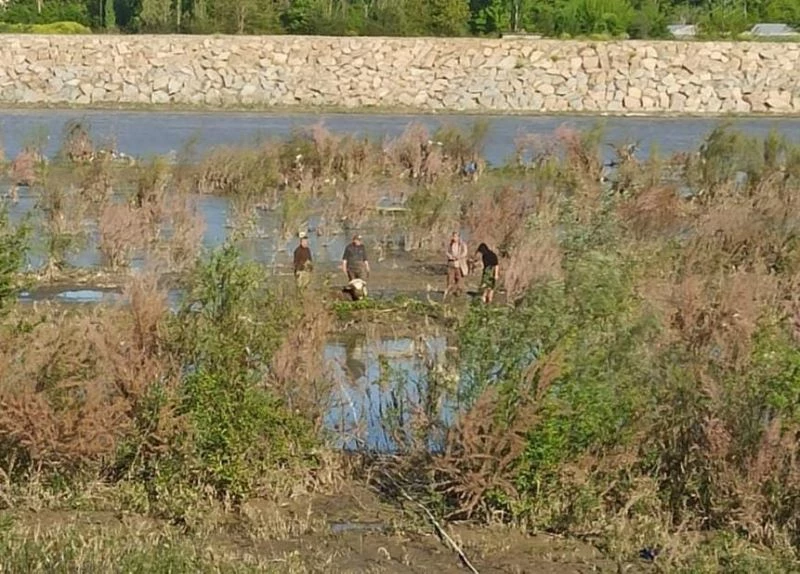Filyos nehrinde balçığa saplanan inek kurtarıldı
