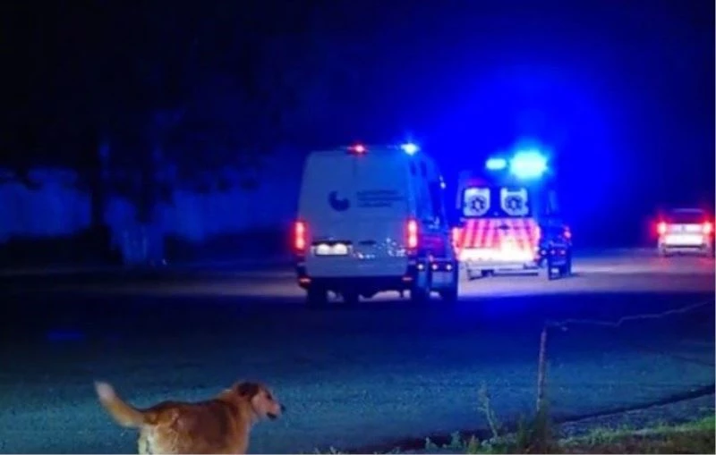 Gürcistan’ın eski Cumhurbaşkanı Saakaşvili cezaevinden hastaneye sevk edildi
