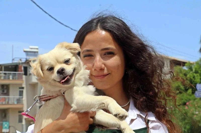 Marketteki köpeğe sebepsiz yere tekme attı, kamera kaydını izleyen genç kadının ağzı açık kaldı
