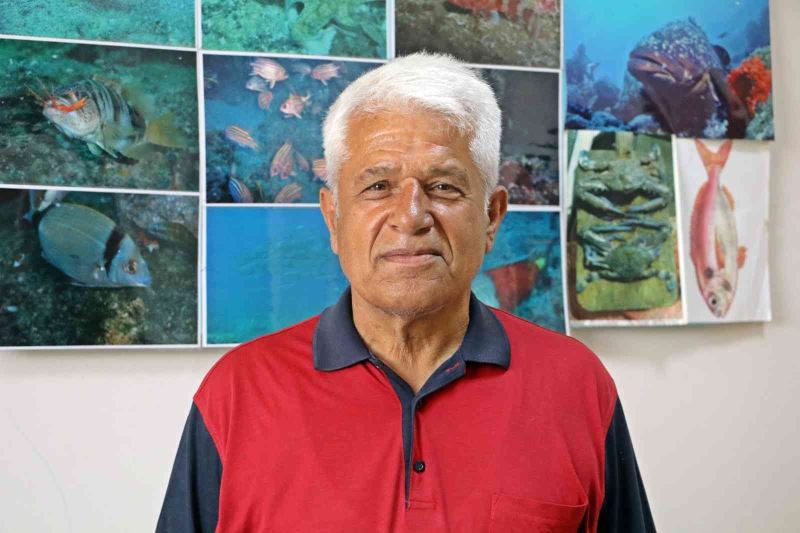 Prof. Dr. Mehmet Gökoğlu: “Yunusların teknelerle yarışı kaybedince intihar ettiği inancı yanlış”

