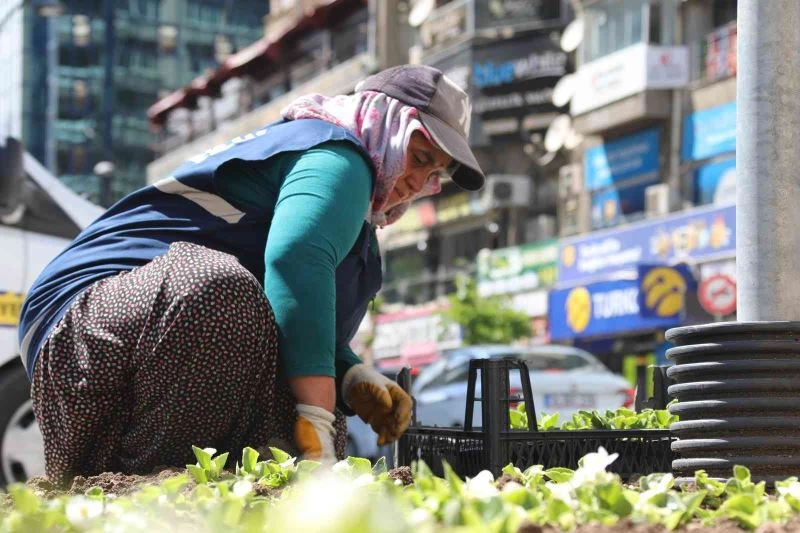 Elazığ, kadın eliyle güzelleşiyor

